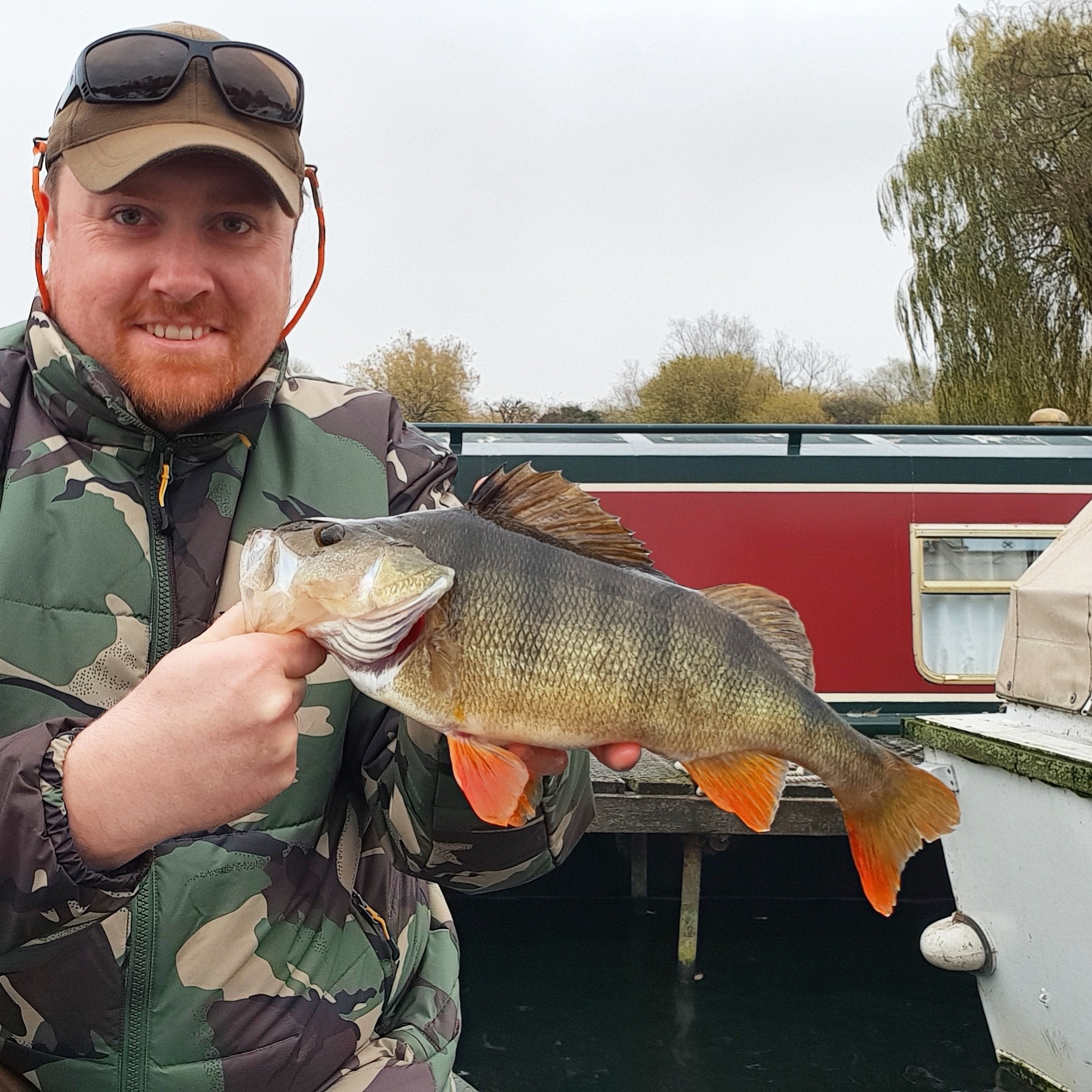 Wychwood Carp - Fancy some perch fishing!? Then take a look at our