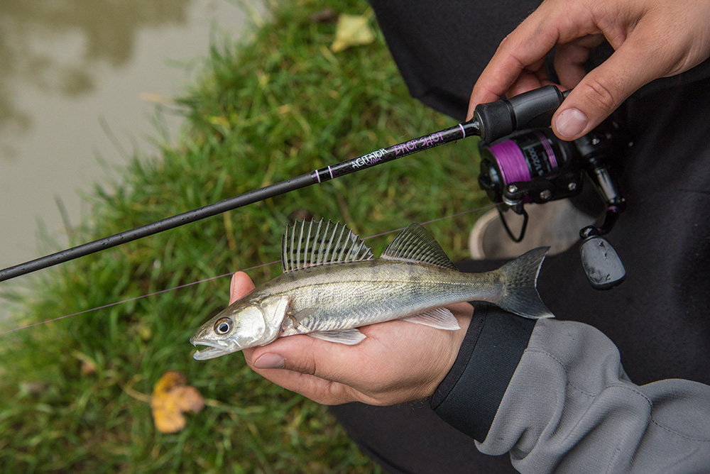 Wychwood Agitator Drop Shot Rod Twin Tip – Glasgow Angling Centre