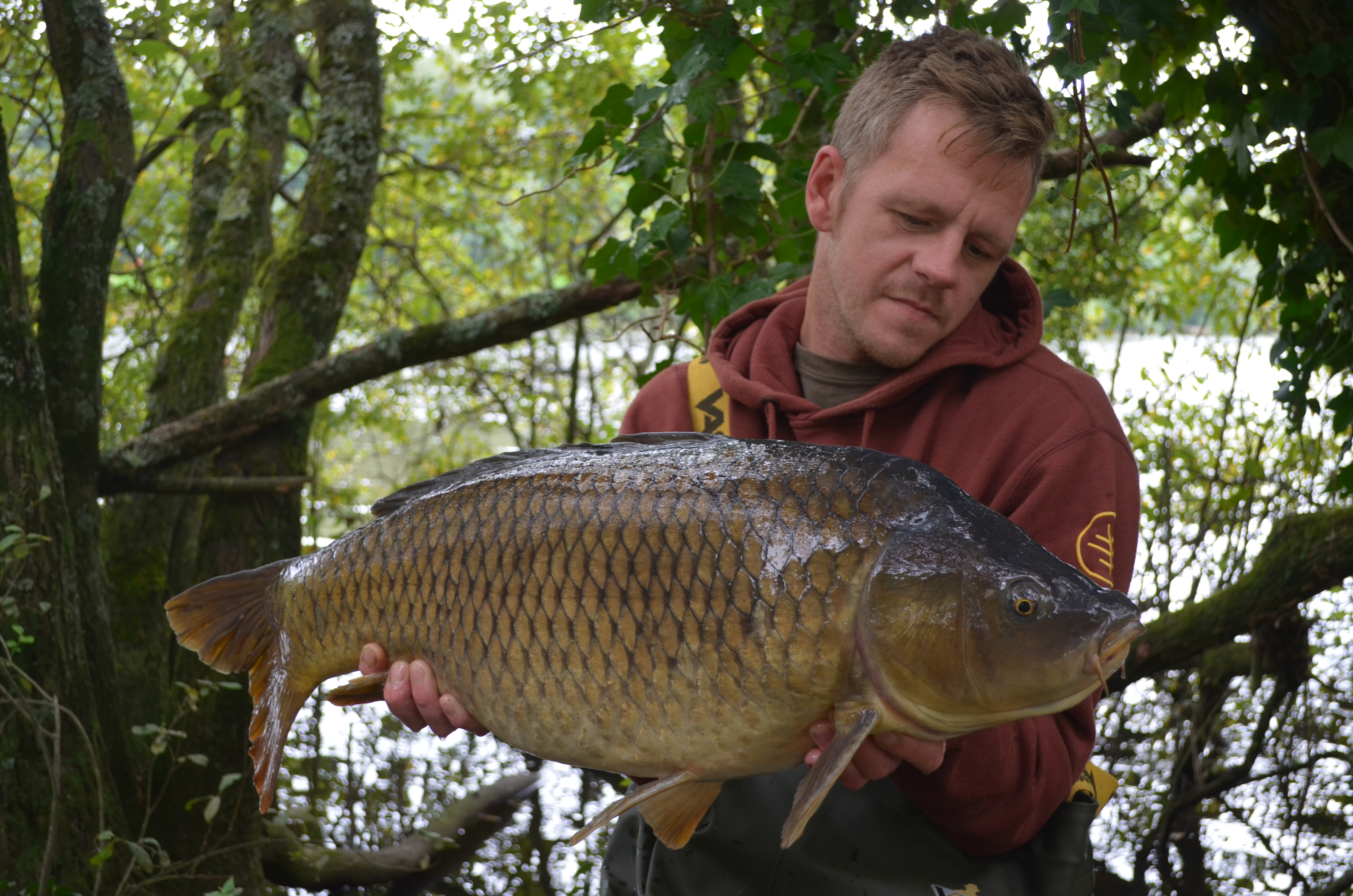 20 day-ticket big carp venues in England and Wales 