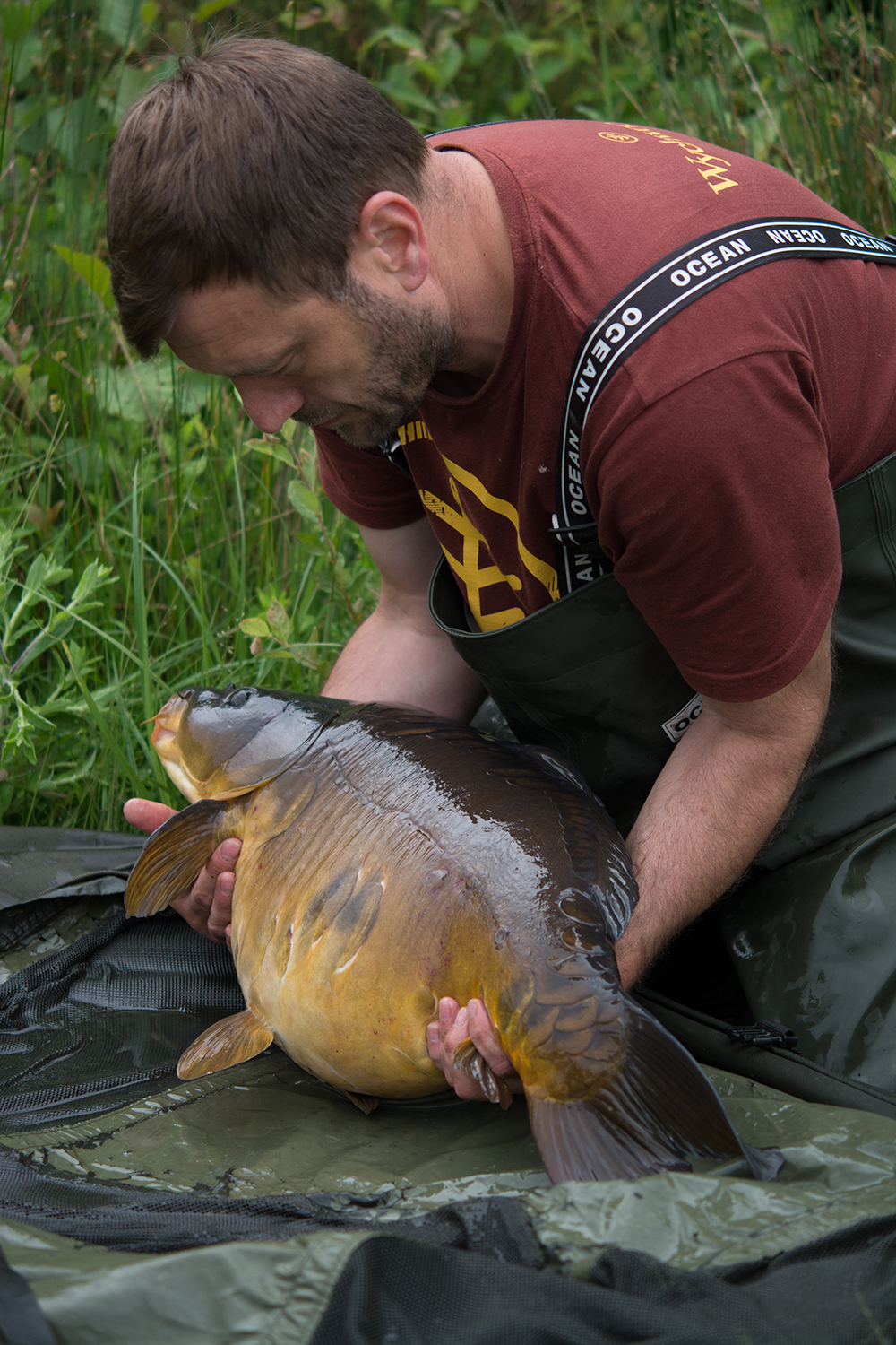 Small hooks for big carp.